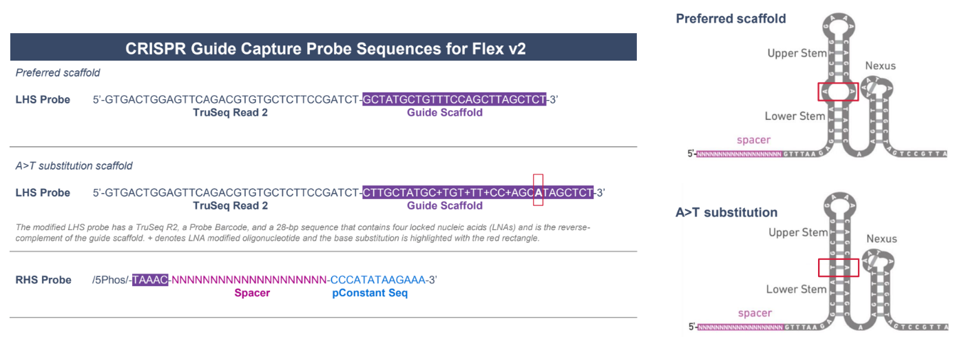 How do I design custom probes for CRISPR Guide Capture for use with GEM ...