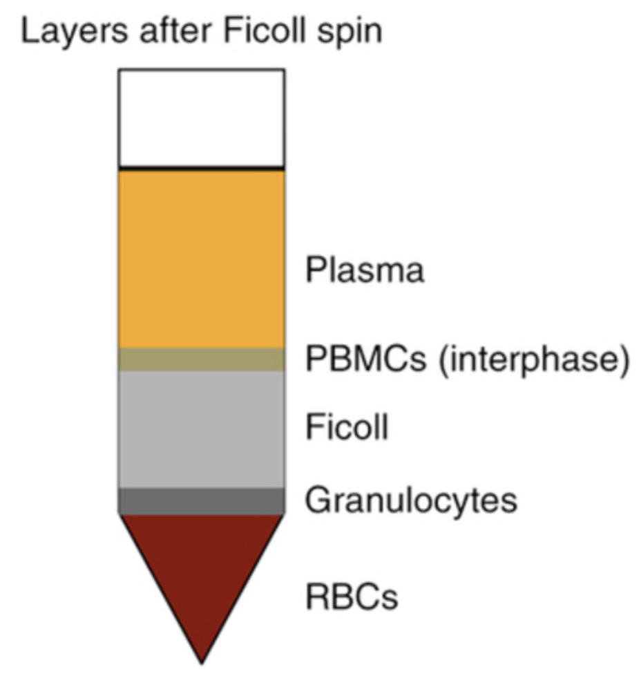 How can I remove red blood cells from my sample?